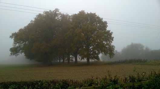 WP_20151101_001
